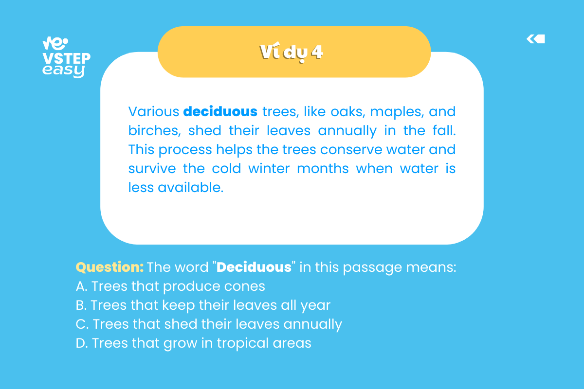 Ví dụ 4 dạng bài tìm manh mối từ ví dụ (Example clues)
