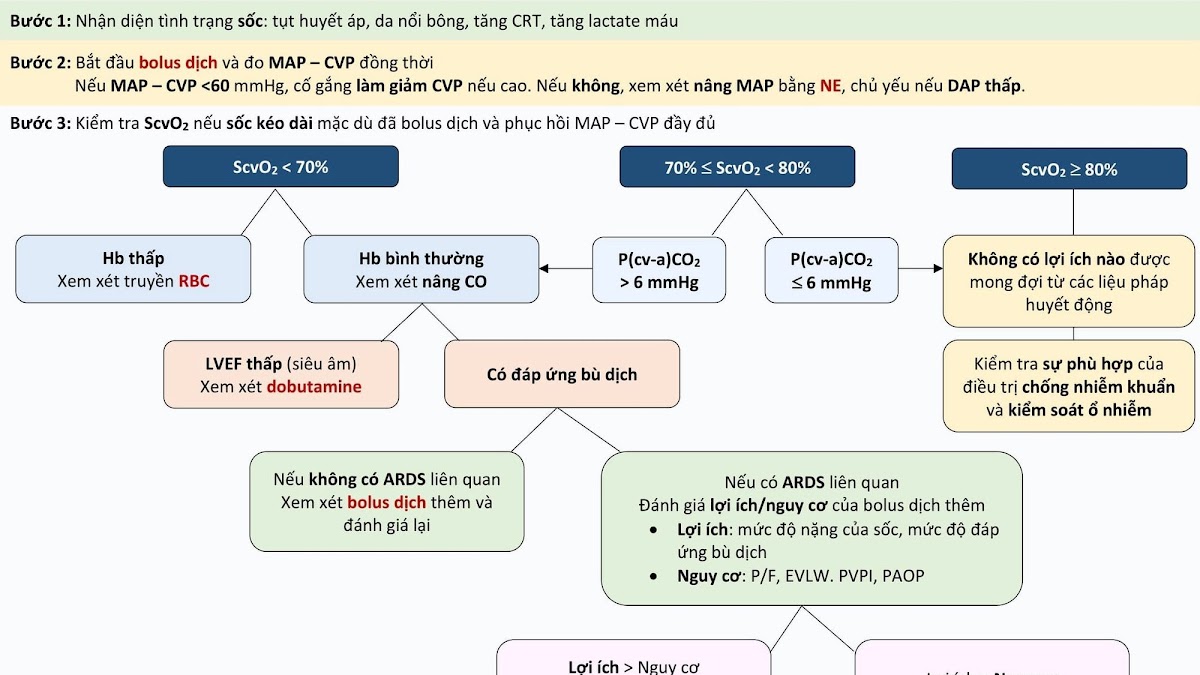 Làm thế nào để vận dụng các thông số huyết động trong hồi sức sốc nhiễm khuẩn?