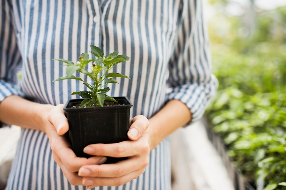 A person holding a plant  Description automatically generated