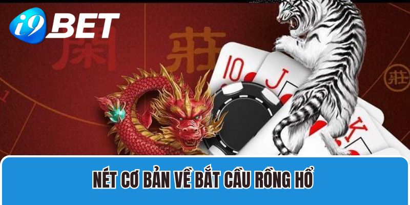 Nét cơ bản về bắt cầu Rồng Hổ 