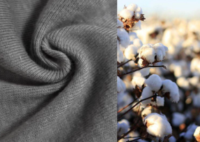 Vải cotton.olm