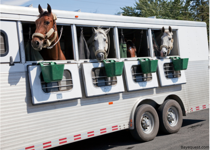 Types of Horse Trailers