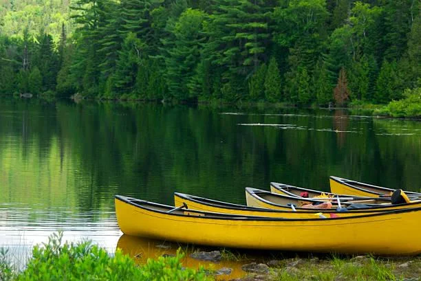 25 Quiet Rivers That Flow Through Forests, quiet river, forest stream, nature, forest, landscape, tree water, peaceful path