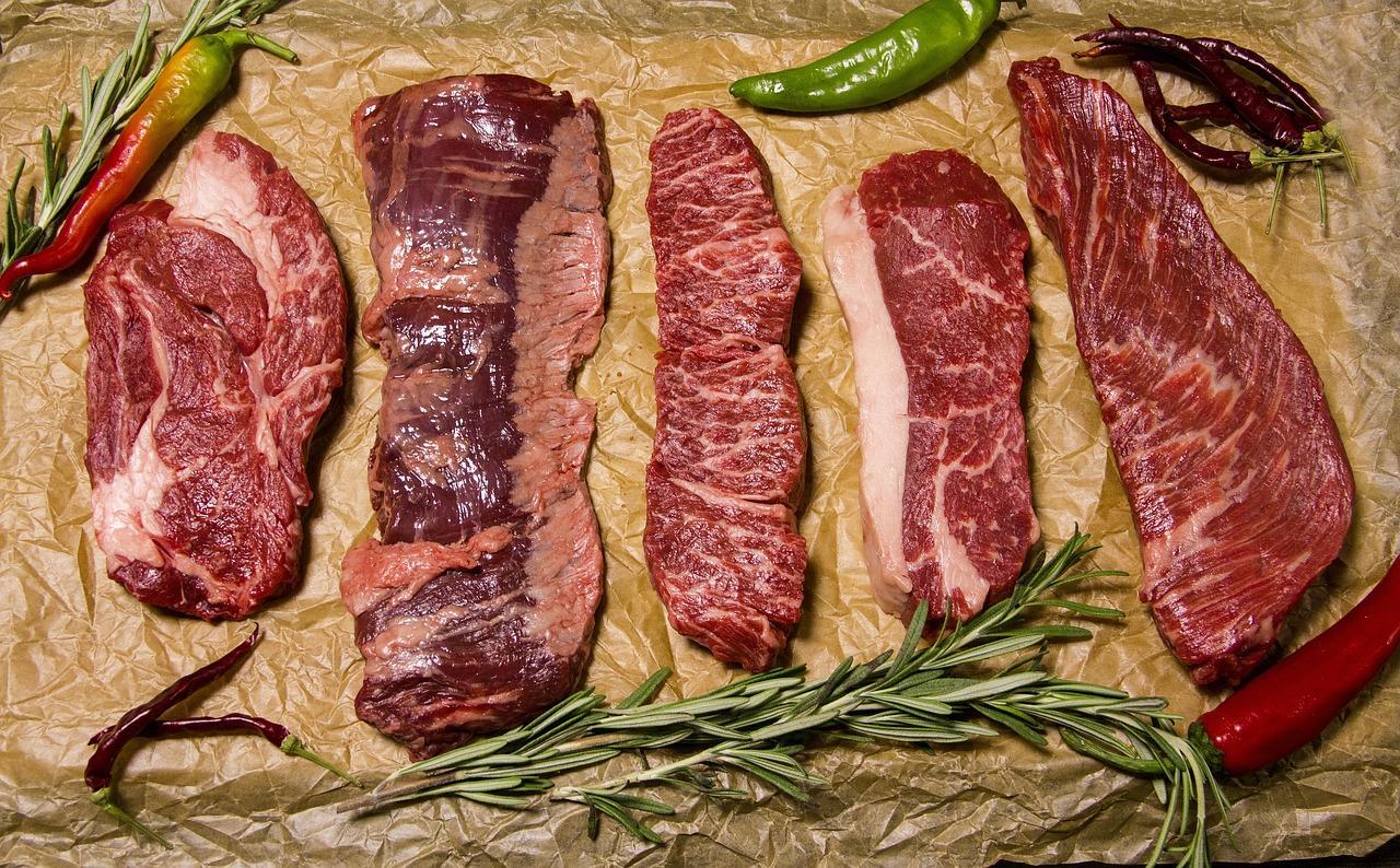 What is the carnivore diet