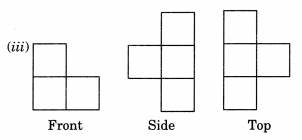 Visualising Solid Shapes Class 7 Extra Questions Maths Chapter 15 Q10.2