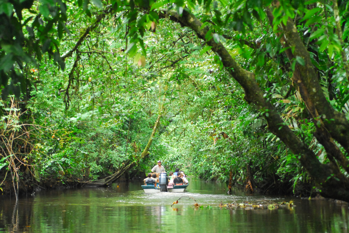 Tortuguero boat tour