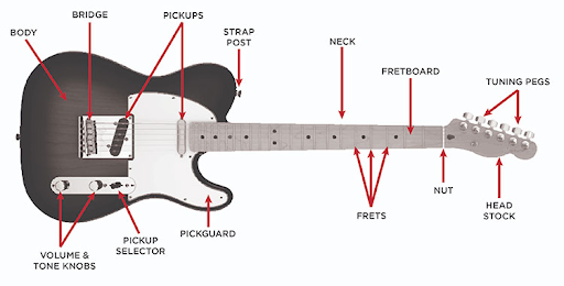 Chi tiết cấu tạo guitar điện