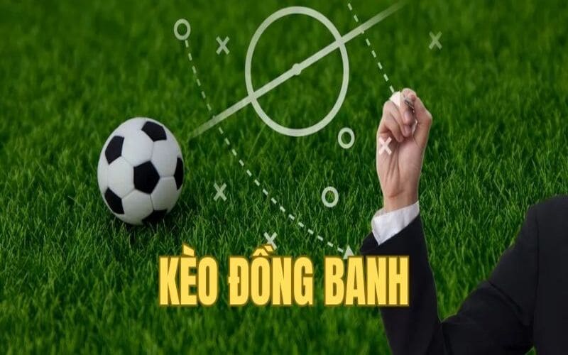 Cách đọc kèo bóng đá châu Á