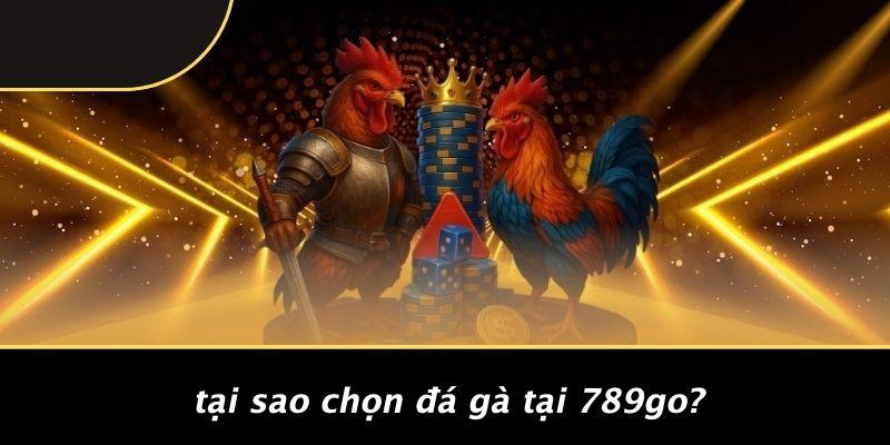 Tại Sao Chọn Đá Gà Tại 789Go?