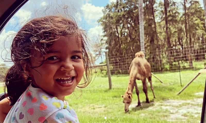 Little girl smiling out car window with a camel grazing nearby on Wild Florida’s Drive-thru Safari.