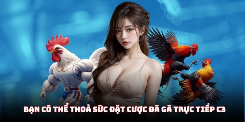 Bạn có thể thoả sức đặt cược đá gà trực tiếp C3