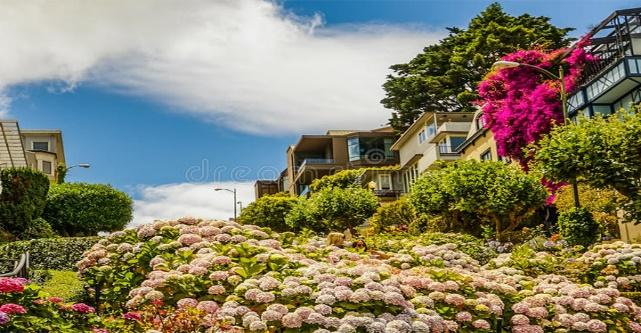 Đường Lombard - Phố Hoa Thương Hiệu San Francisco - Du Lịch Việt Mỹ