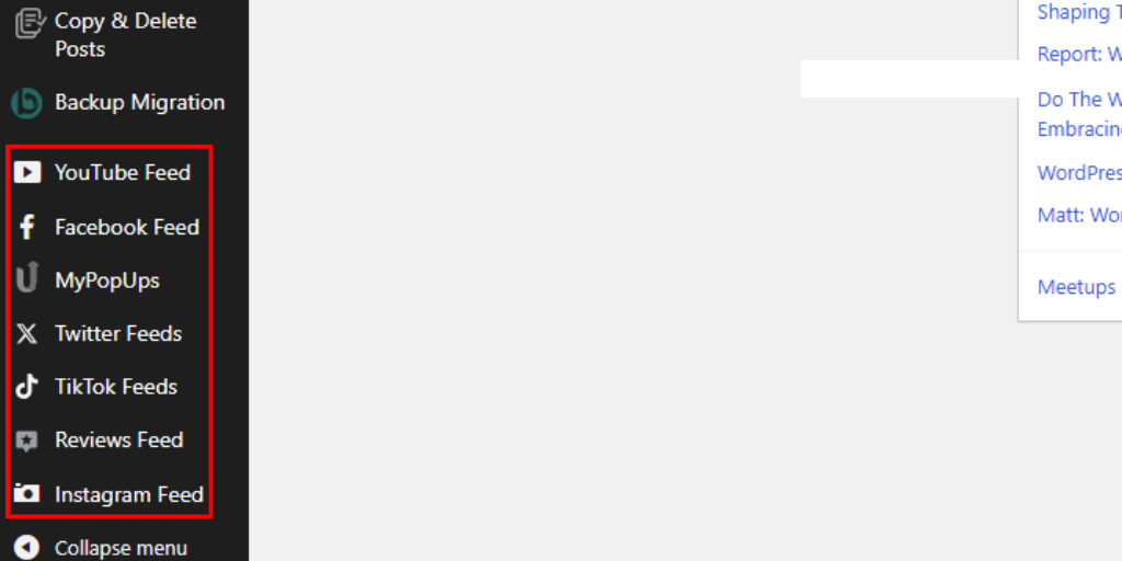 Social Media Feed Menu