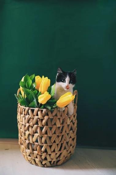 A cat in a basket of flowers

Description automatically generated