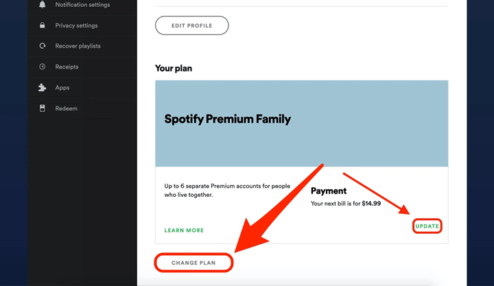 Access Spotify Account for Settings