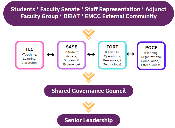 Shared Governance Diagram