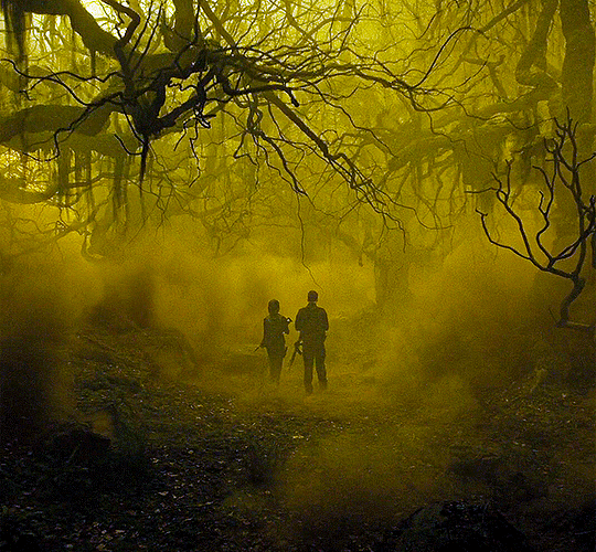 Two people walking in a forest

AI-generated content may be incorrect.