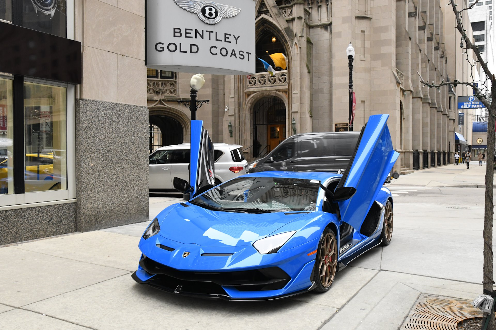 lamborghini gold coast blu eleos