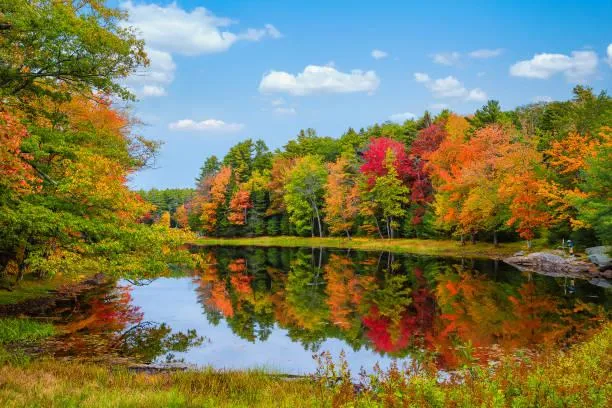 25 Nature Moments That Deserve a Second Look, remarkable nature, photo moments, nature, forest, landscape, natural magic, scenic impact