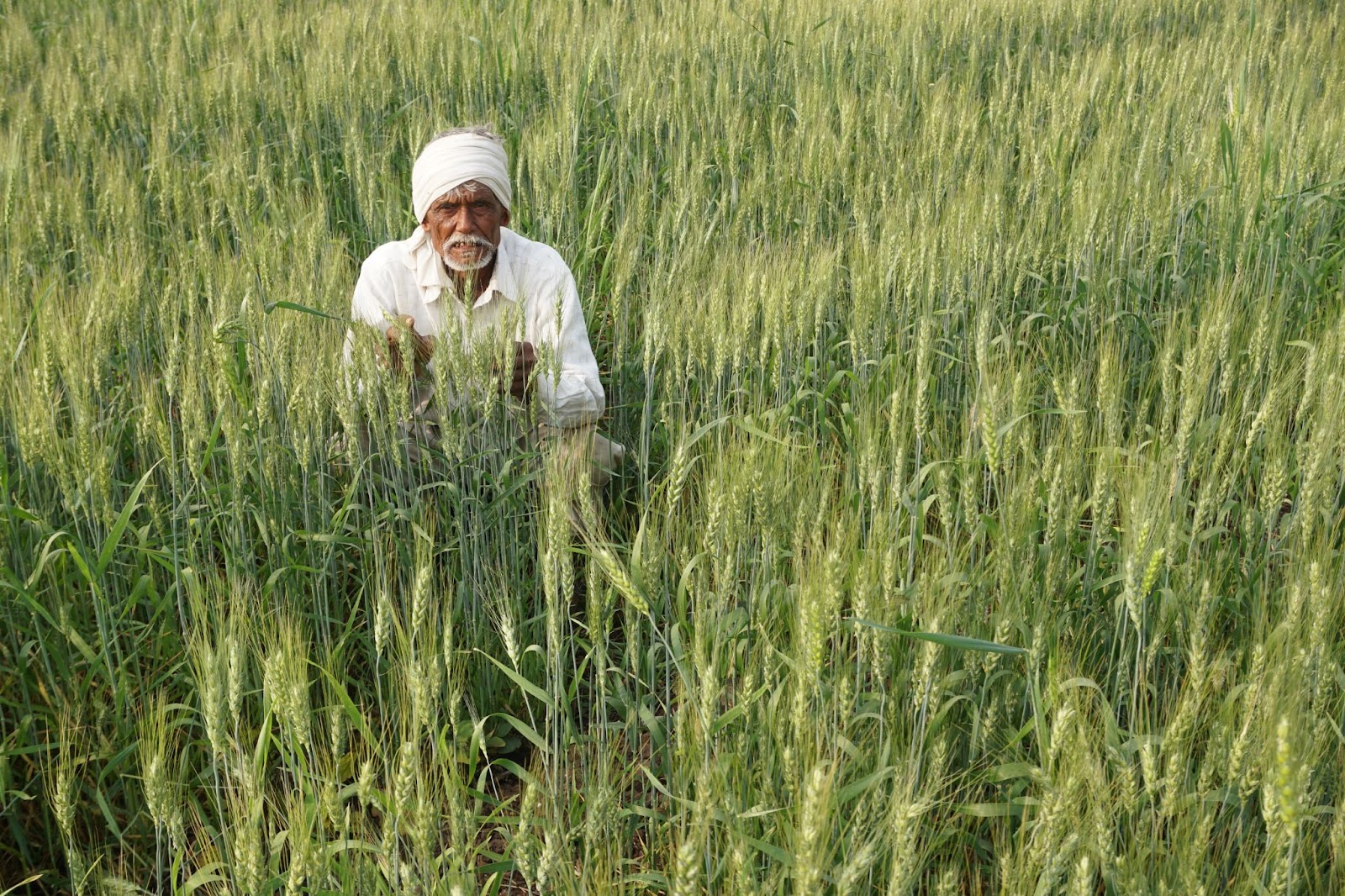 A man sitting in the crop land 