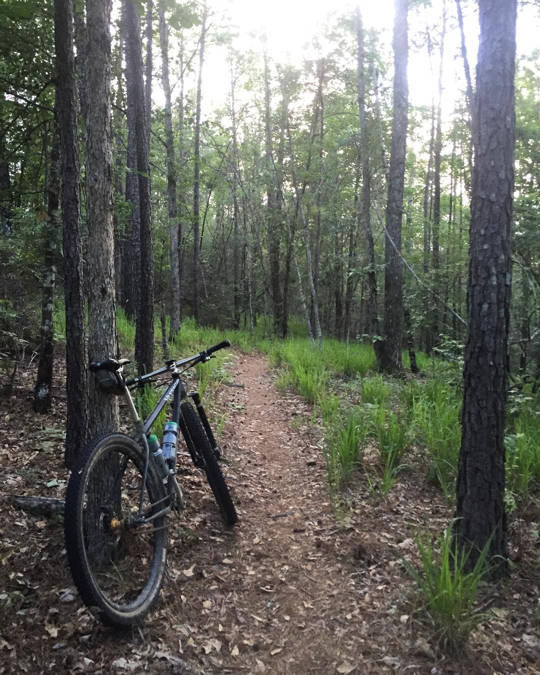 Mountain Biking