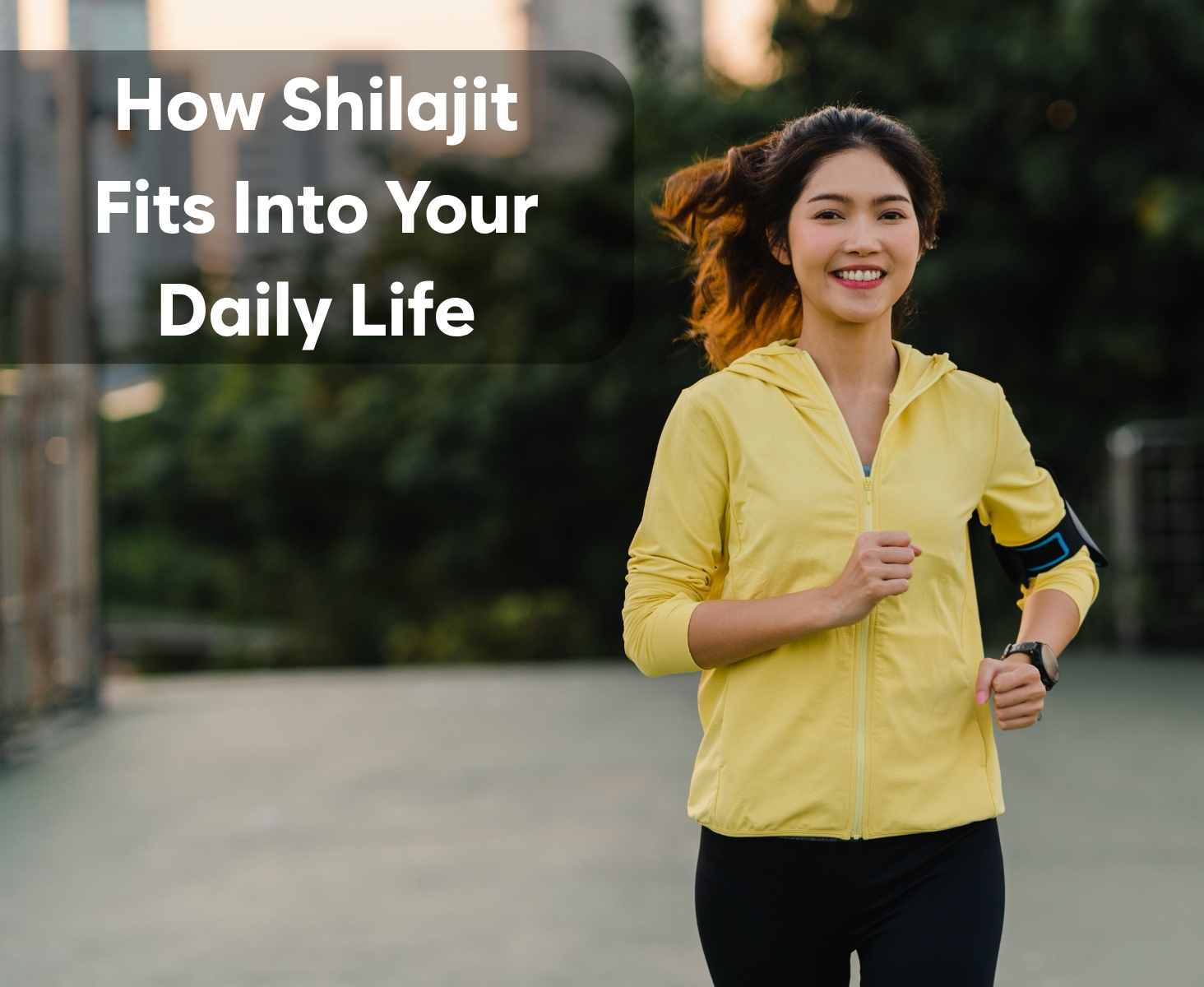 Shilajit in Italy