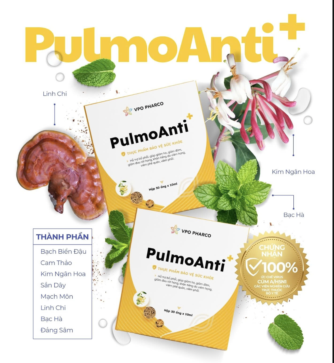 Siro PulmoAnti+ là giải pháp điều trị và phòng ngừa cúm, Covid-19 an toàn, hiệu quả tại nhà