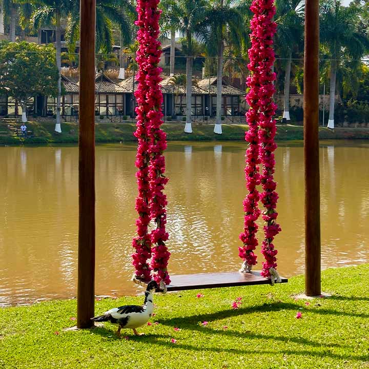 Imagem de um balanço decorado com flores rosas à beira de um lago, cercado por palmeiras e um pato caminhando na grama.