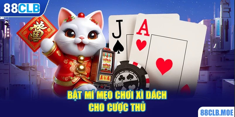 Bật mí mẹo chơi Xì Dách cho cược thủ