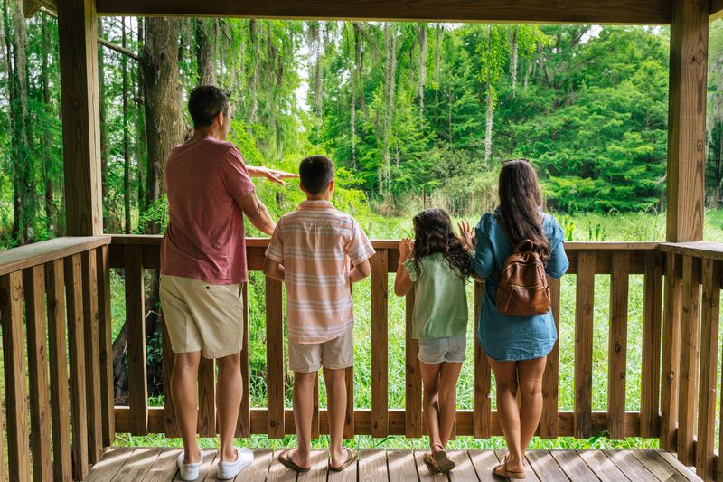 Family at Wild Florida’s Gator Park looking over the swamp area.