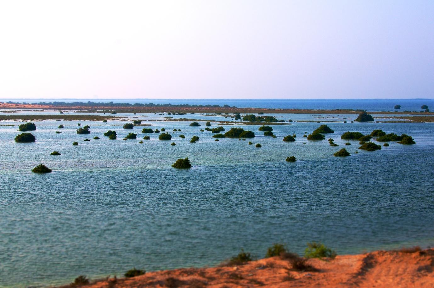 A large body of water with small rocks

