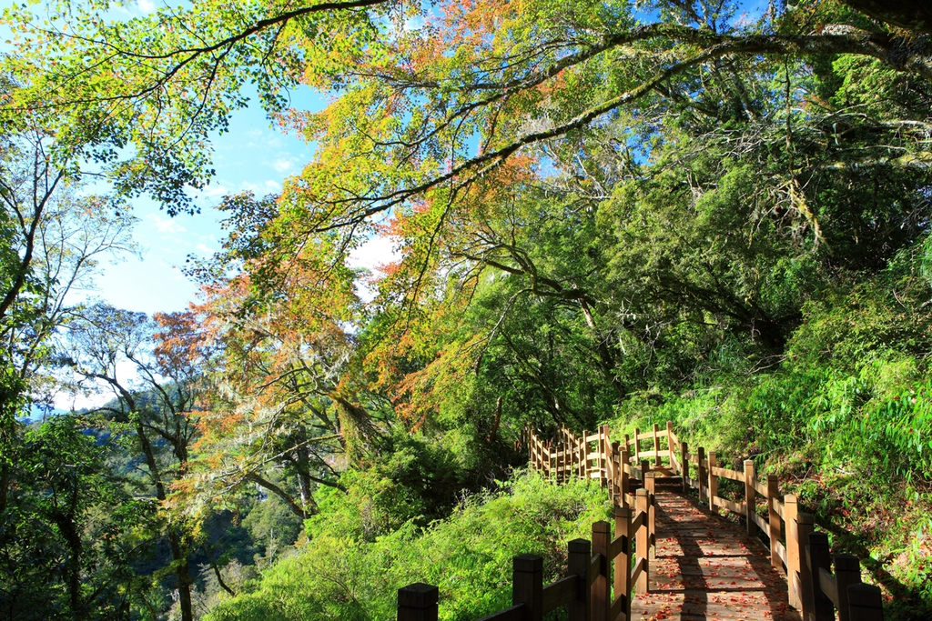 Siangyang National Forest Recreation Area