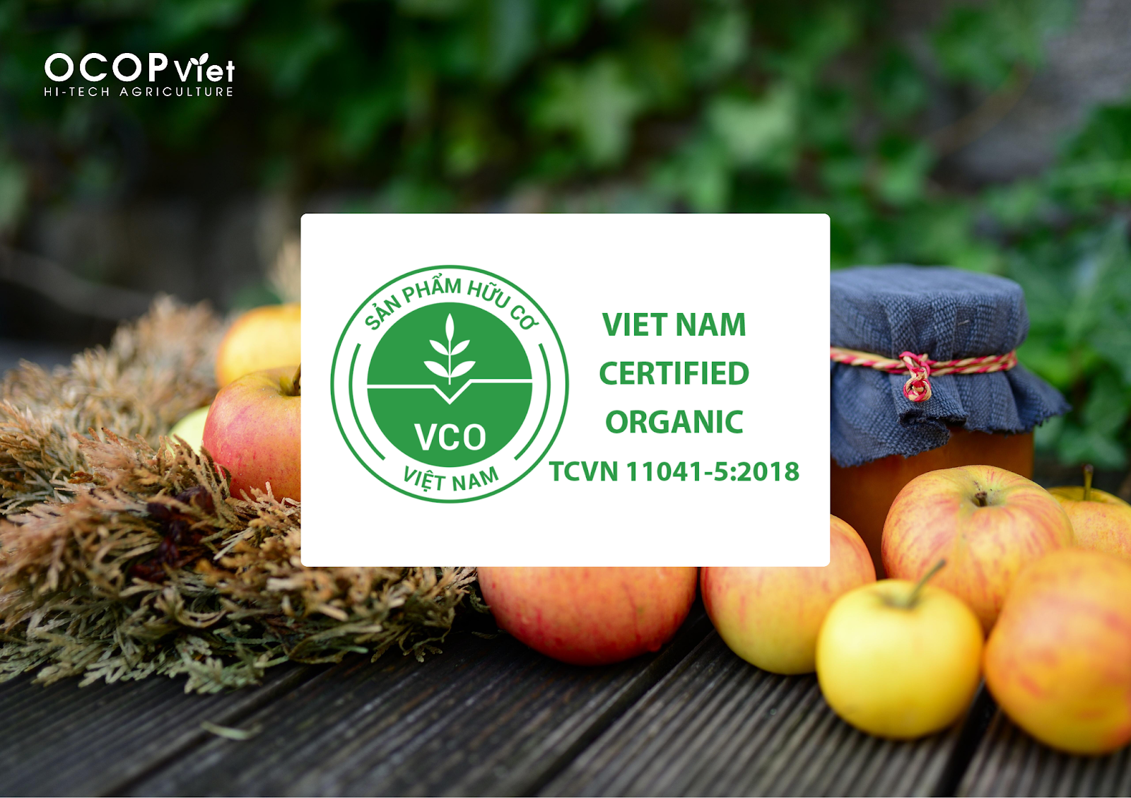 trái cây hữu cơ
