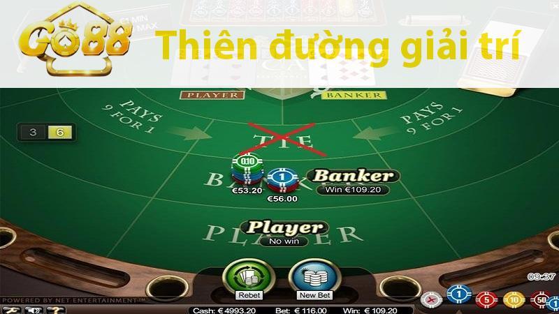 Không đặt vào cửa hòa trong baccarat