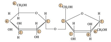 Sucrose Structure