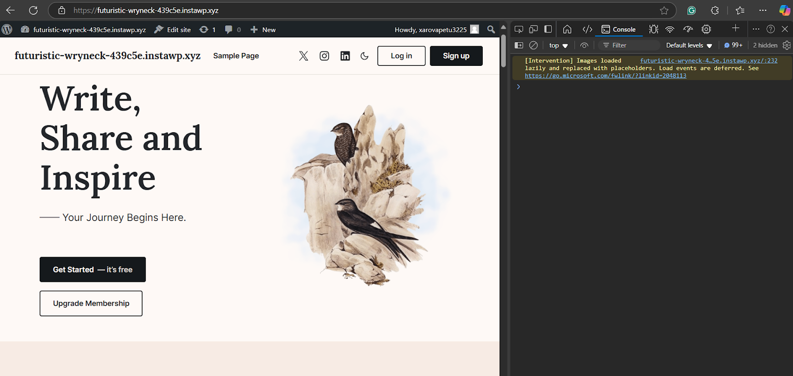 Inspect broken CSS in WordPress in Console Tab 