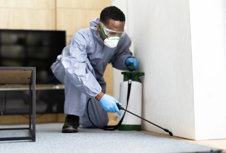Choosing Pest Control Fair Lawn for Lasting Results