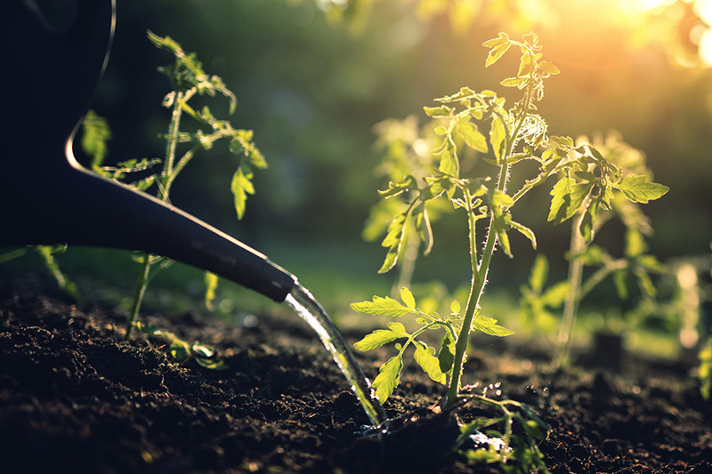 Good Soil and Water Management