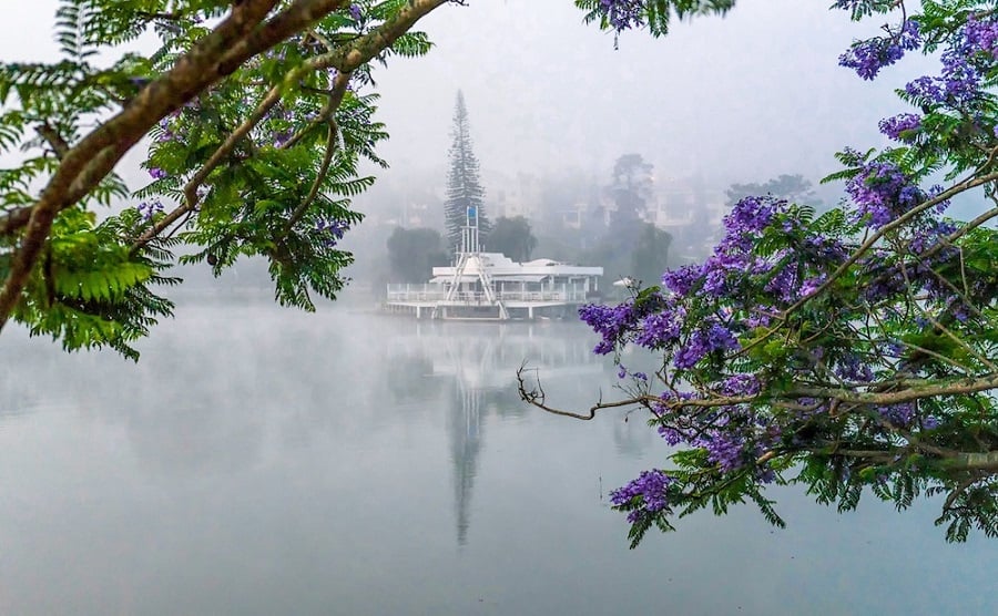 Chợ Đà Lạt