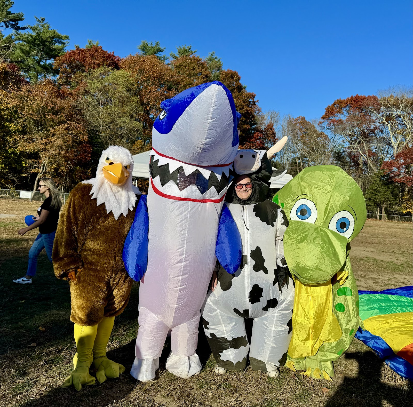 image of a eagle, shark, cow, and alligator costume