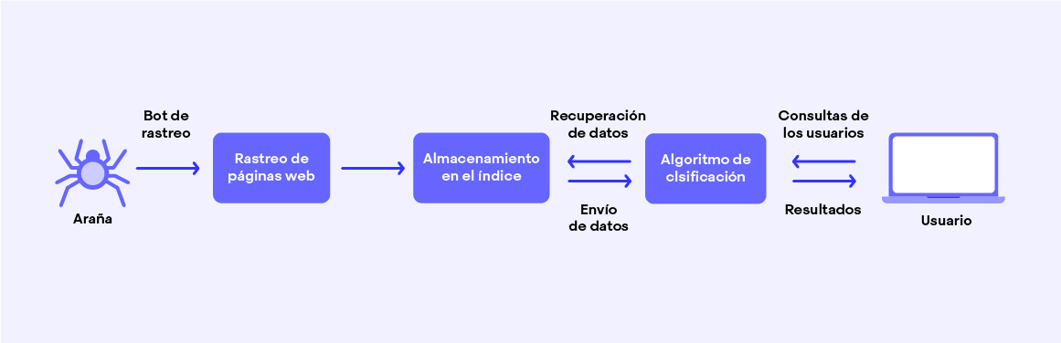 crawlers-analizando-contenido