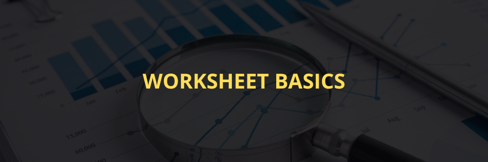 Worksheet Basics