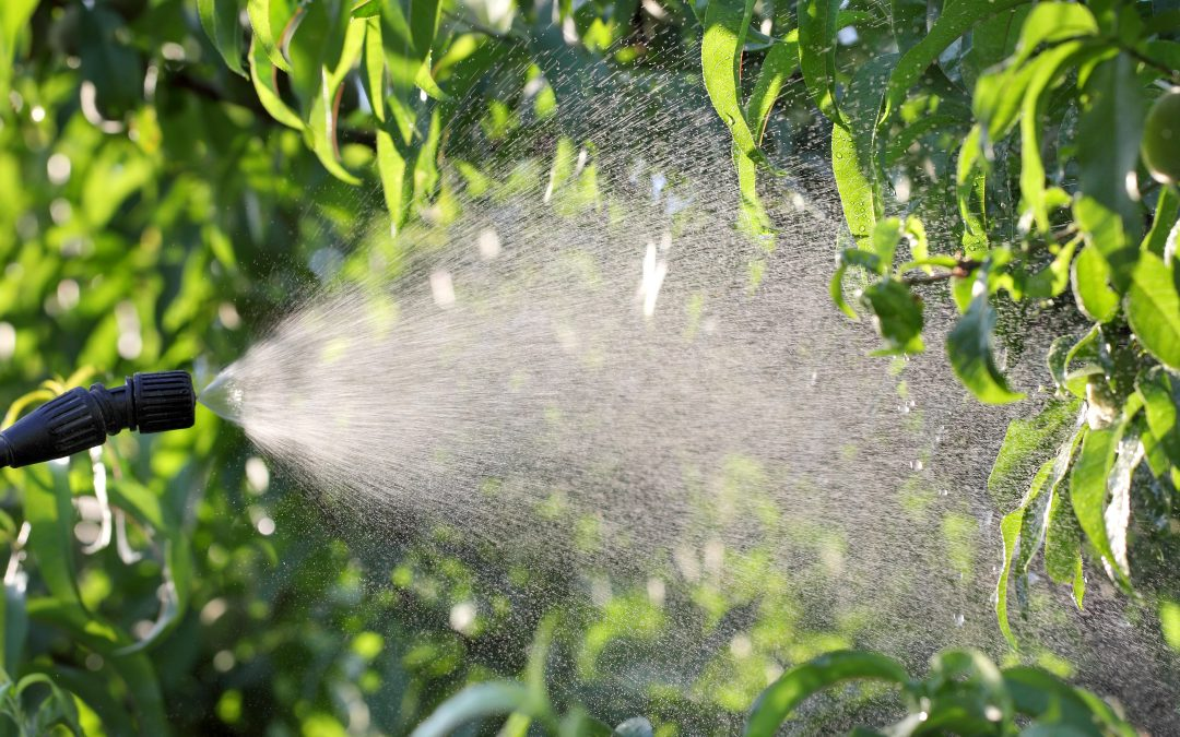 Fungicides for Trees