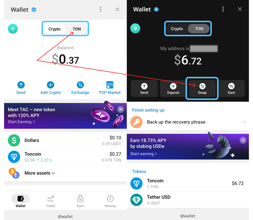 Telegram TON Wallet application interface