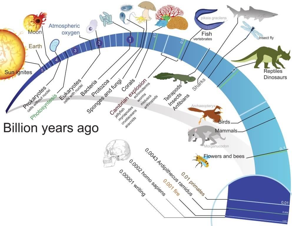 Origin and Evolution of Life on Earth - PMF IAS