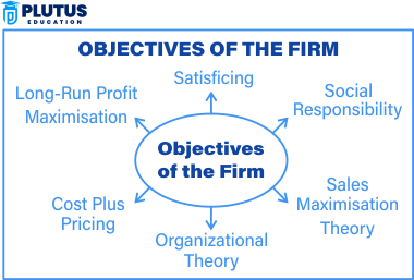 Objectives of a Firm