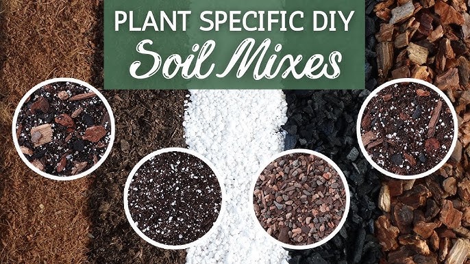 Potting Soil for Specific Plants