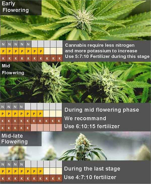 Flowering Stage Nutrient Ratios