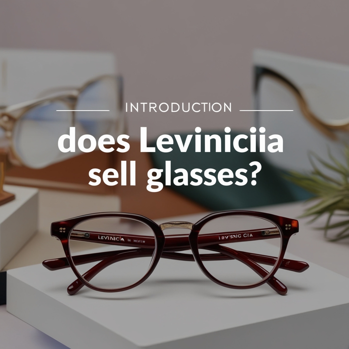 does levinicia sell glasses
