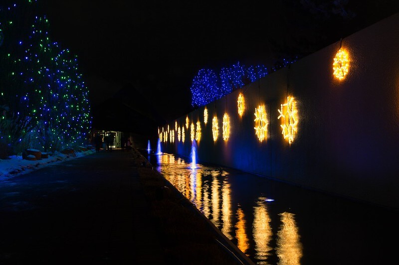 lit up trees and snowflakes at Blossoms of Light at Denver Botanic Gardens